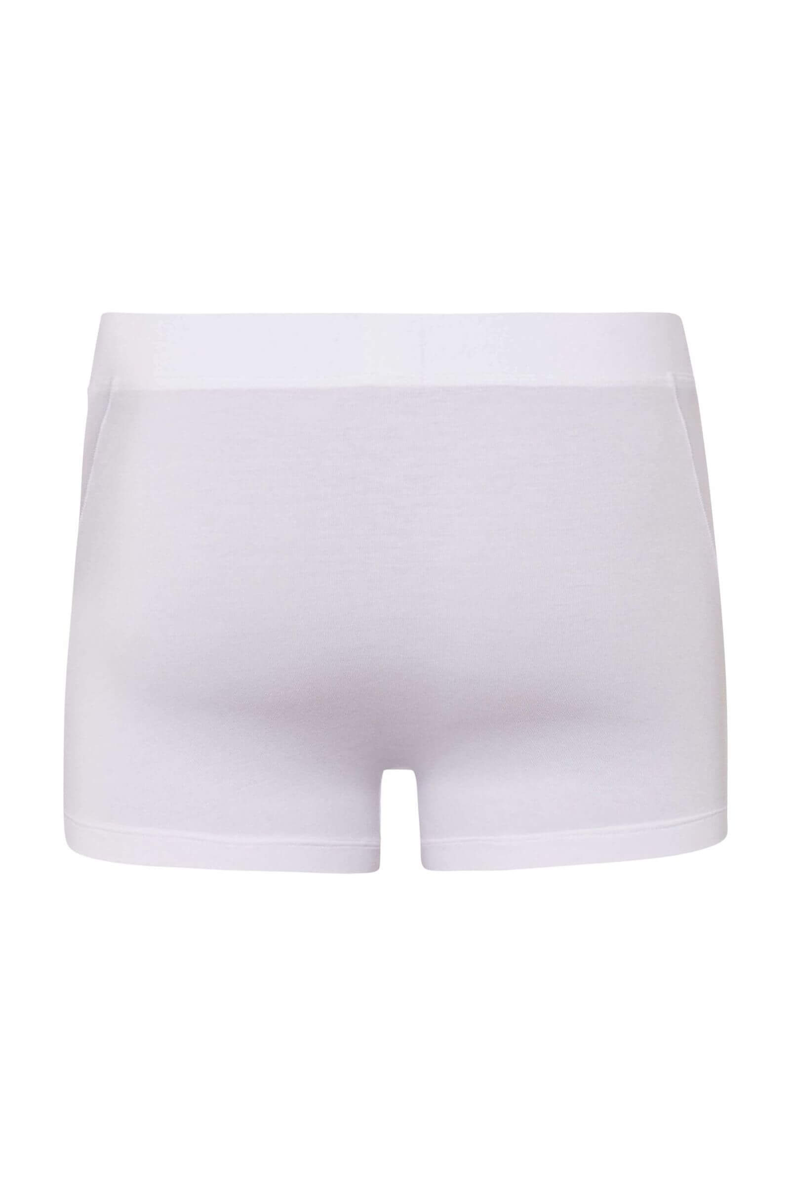 Трусы боксеры-брифы. Цвет Белый (070101)