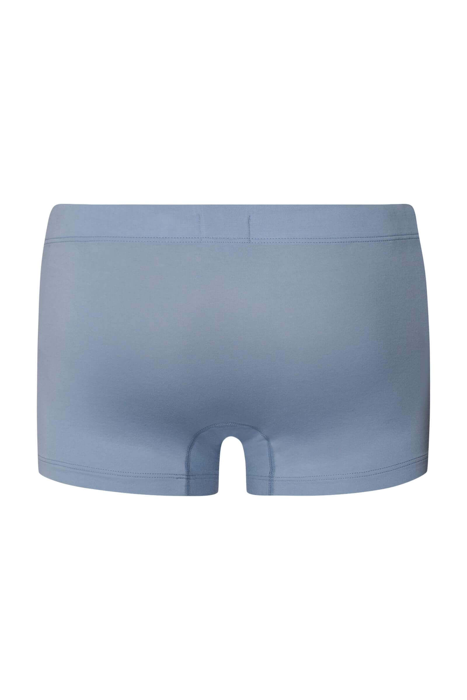 Комплект боксеров-брифов из мерсеризованного хлопка. Цвет Набор цветов (3021)