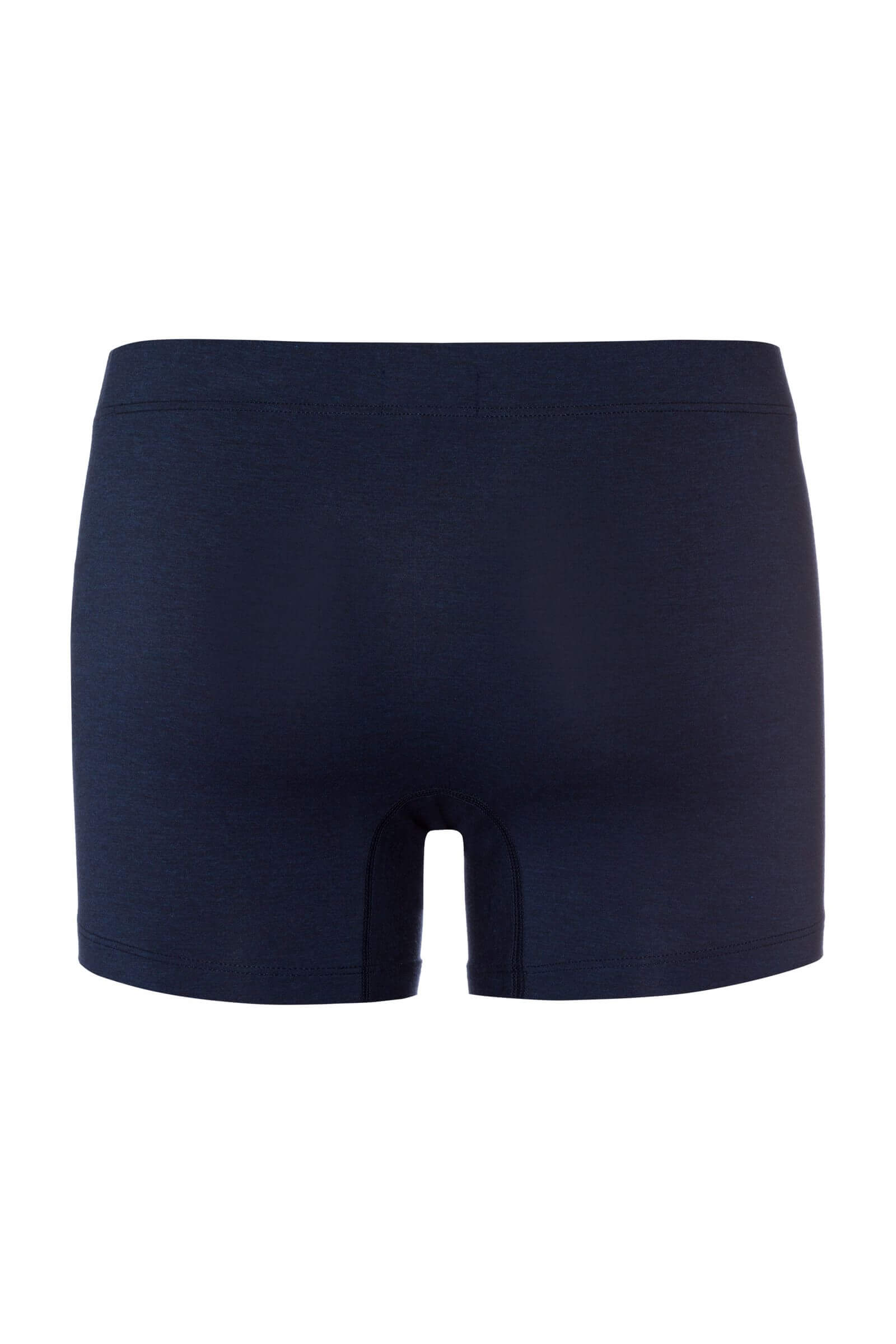 Трусы боксеры-брифы из вискозы. Цвет Синий (071610)