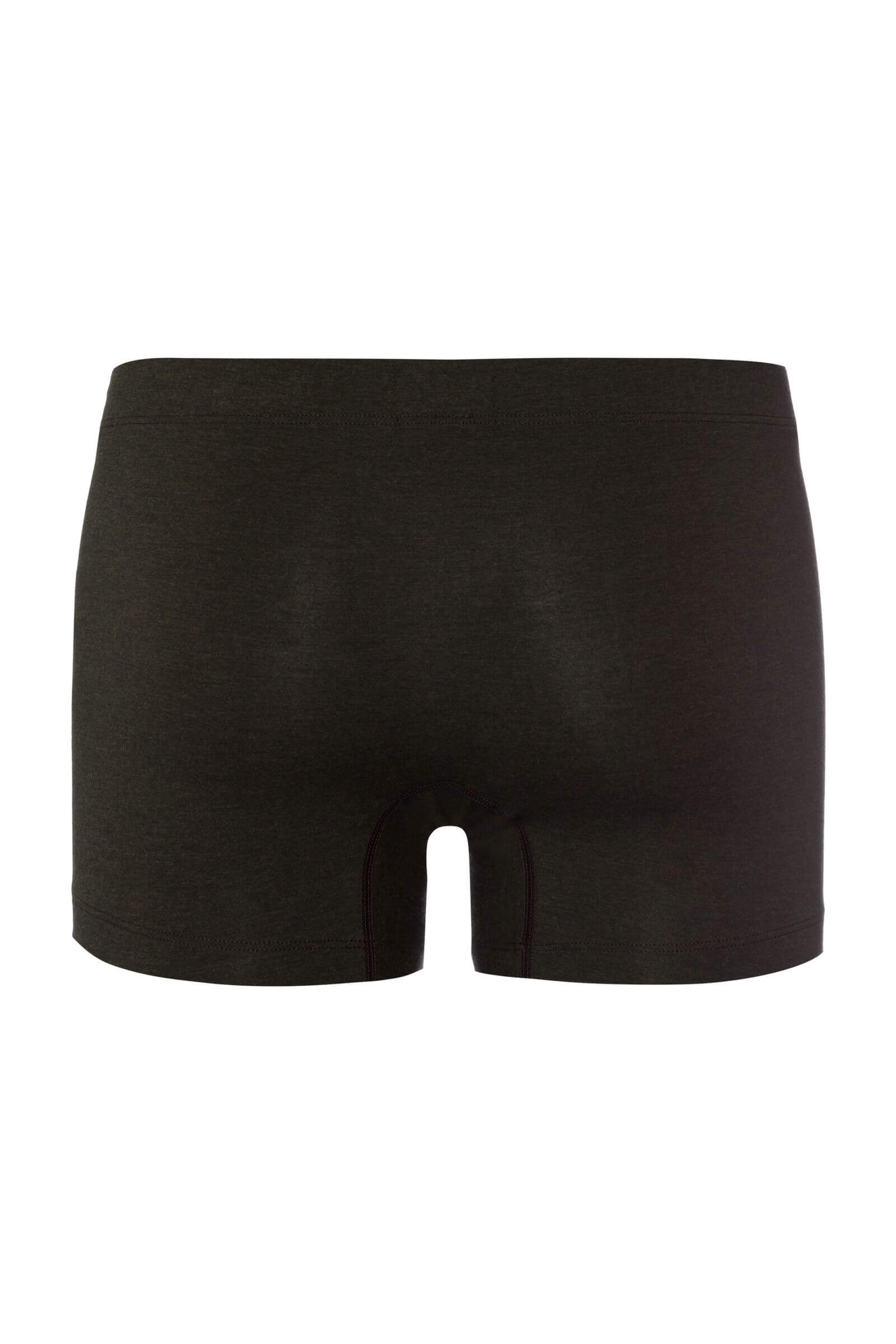 Трусы боксеры-брифы из вискозы. Цвет Зеленый (3044)