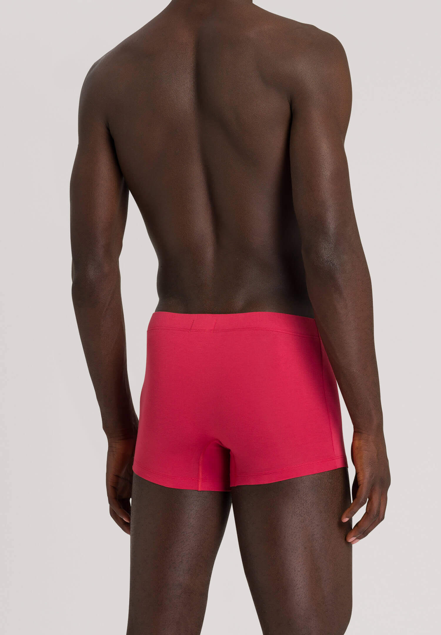 Комплект боксеров-брифов из мерсеризованного хлопка. Цвет Набор цветов (2363)