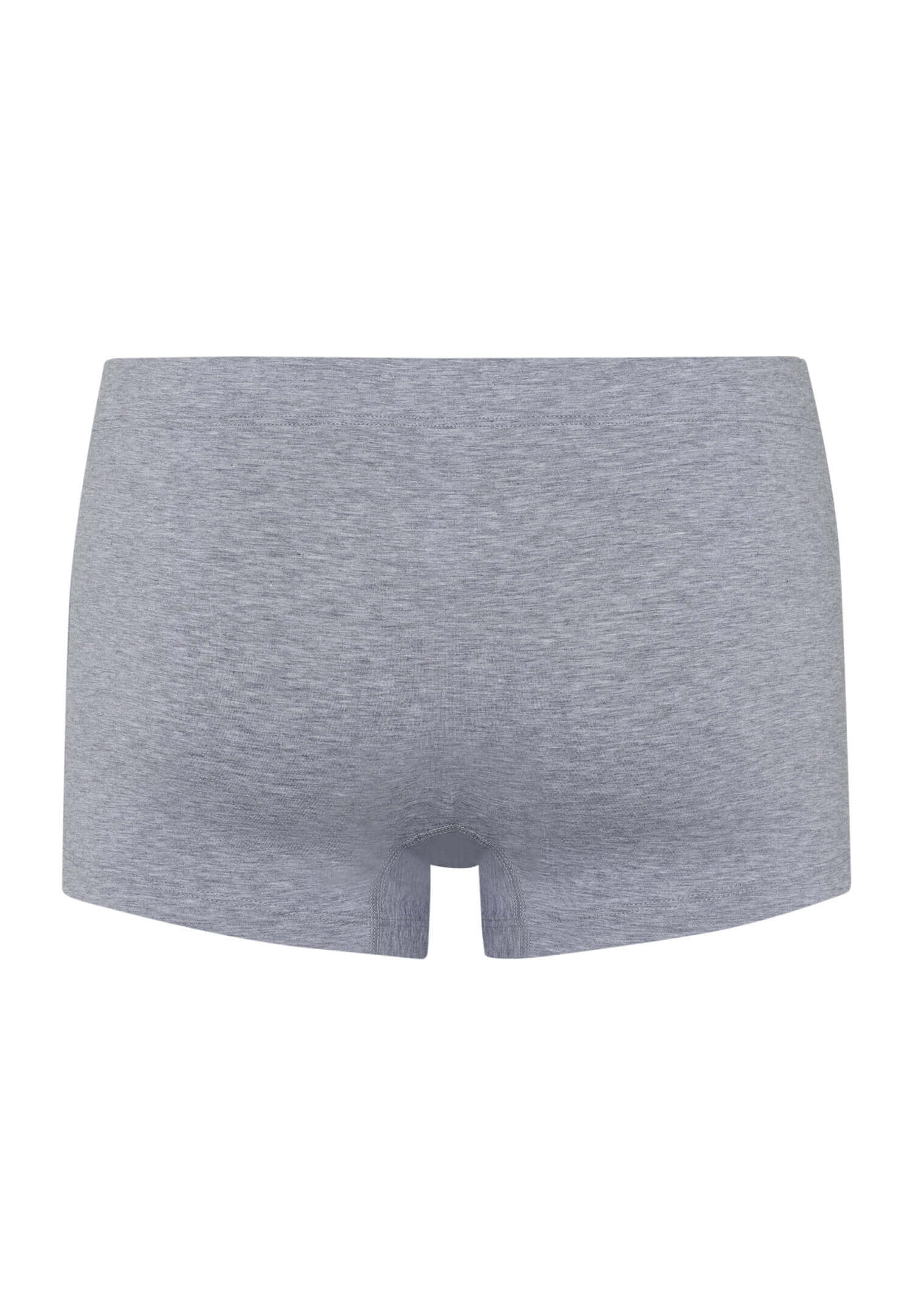 Комплект боксеров-брифов из мерсеризованного хлопка. Цвет Набор цветов (2399)