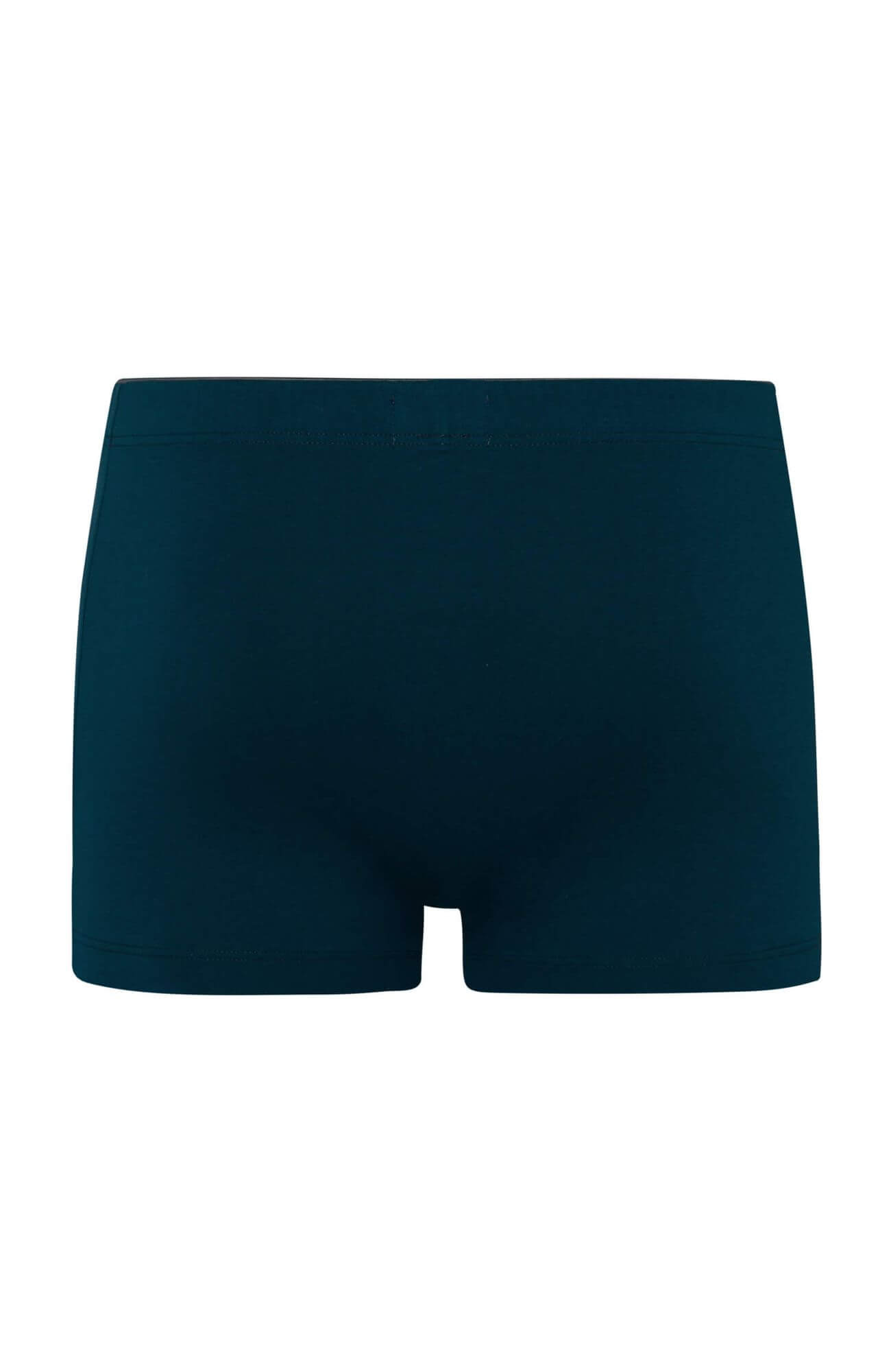 Трусы боксеры-брифы. Цвет Синий (072580)