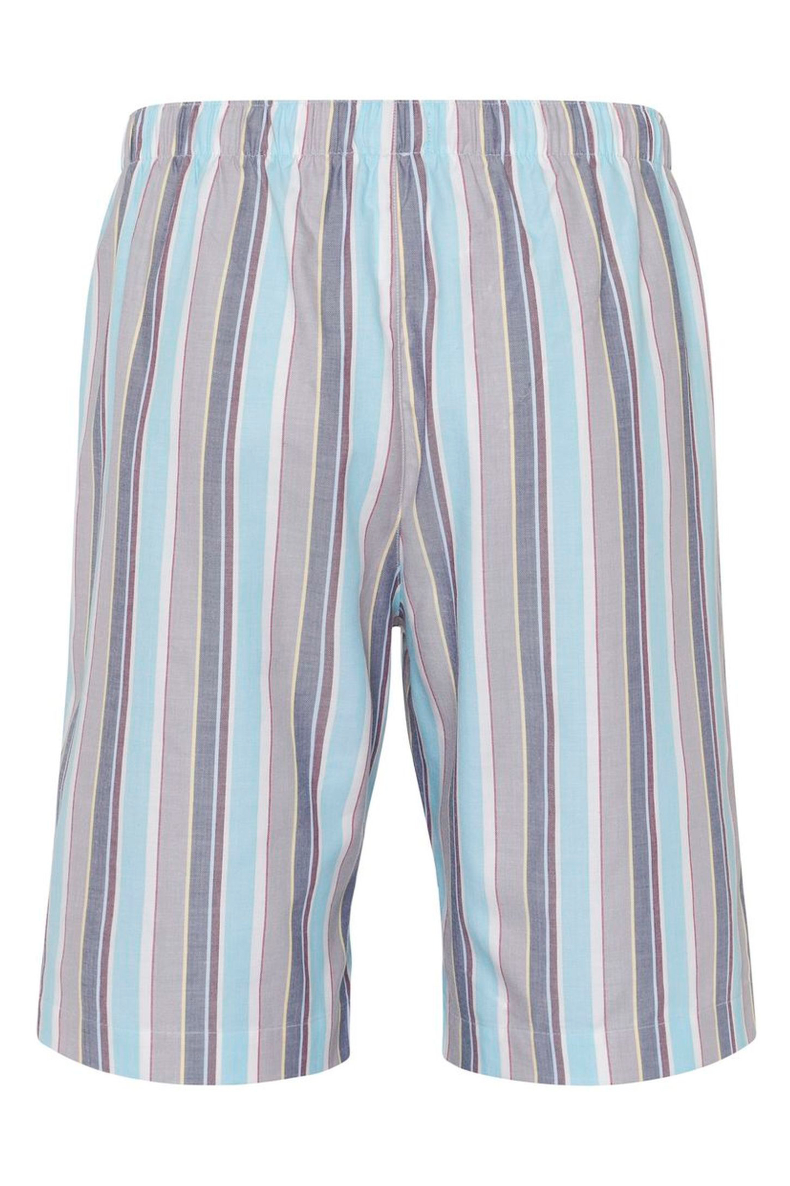 Шорты. Цвет Мультиколор (072358)