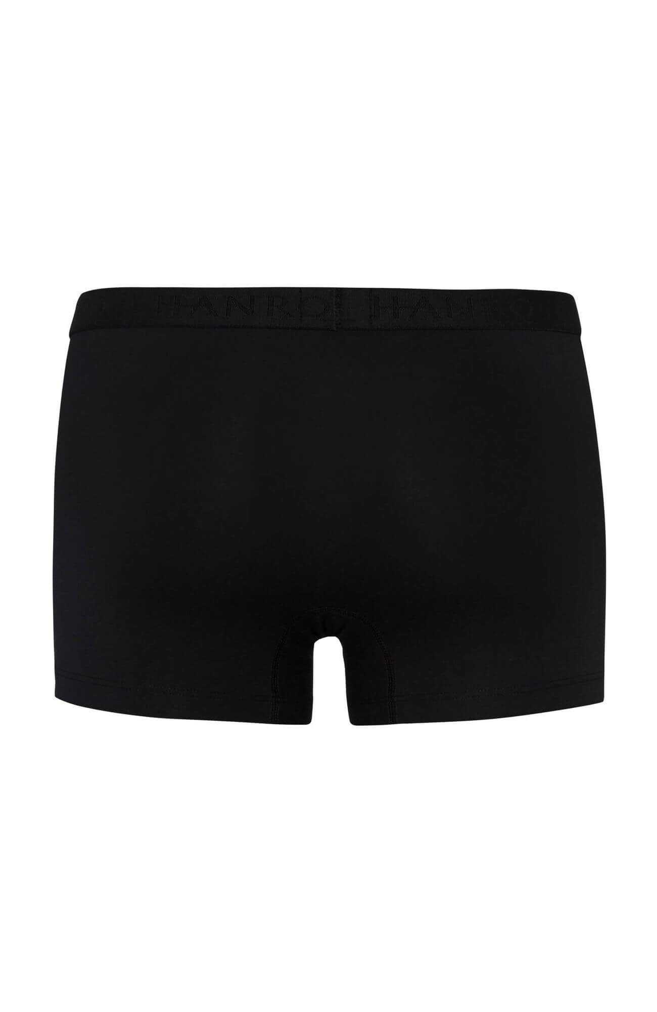 Трусы боксеры-брифы. Цвет Черный (070900)