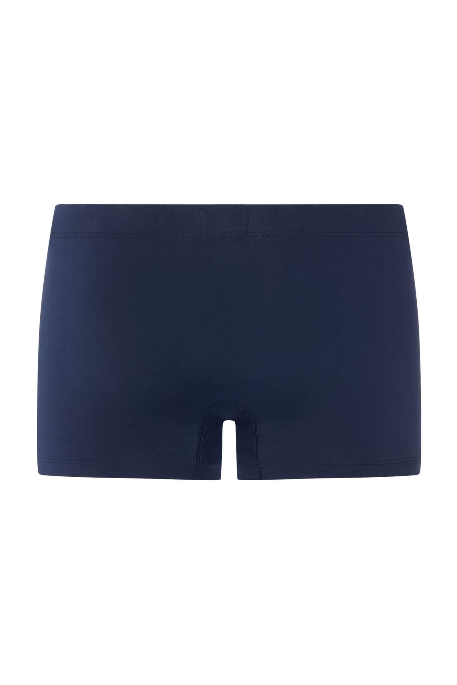 Комплект боксеров-брифов из мерсеризованного хлопка. Цвет Синий (073116)