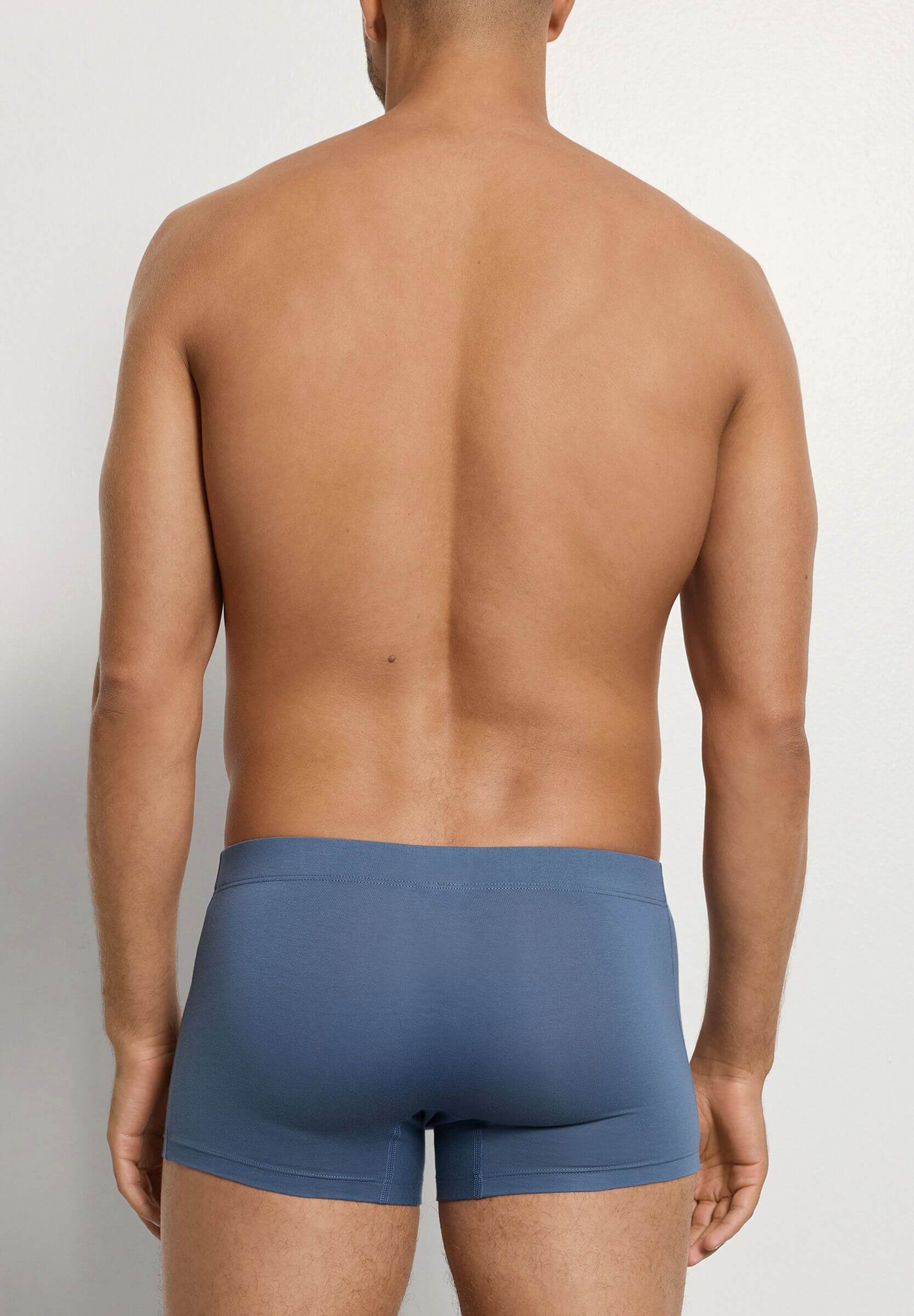 Комплект боксеров-брифов из мерсеризованного хлопка. Цвет Набор цветов (073117)