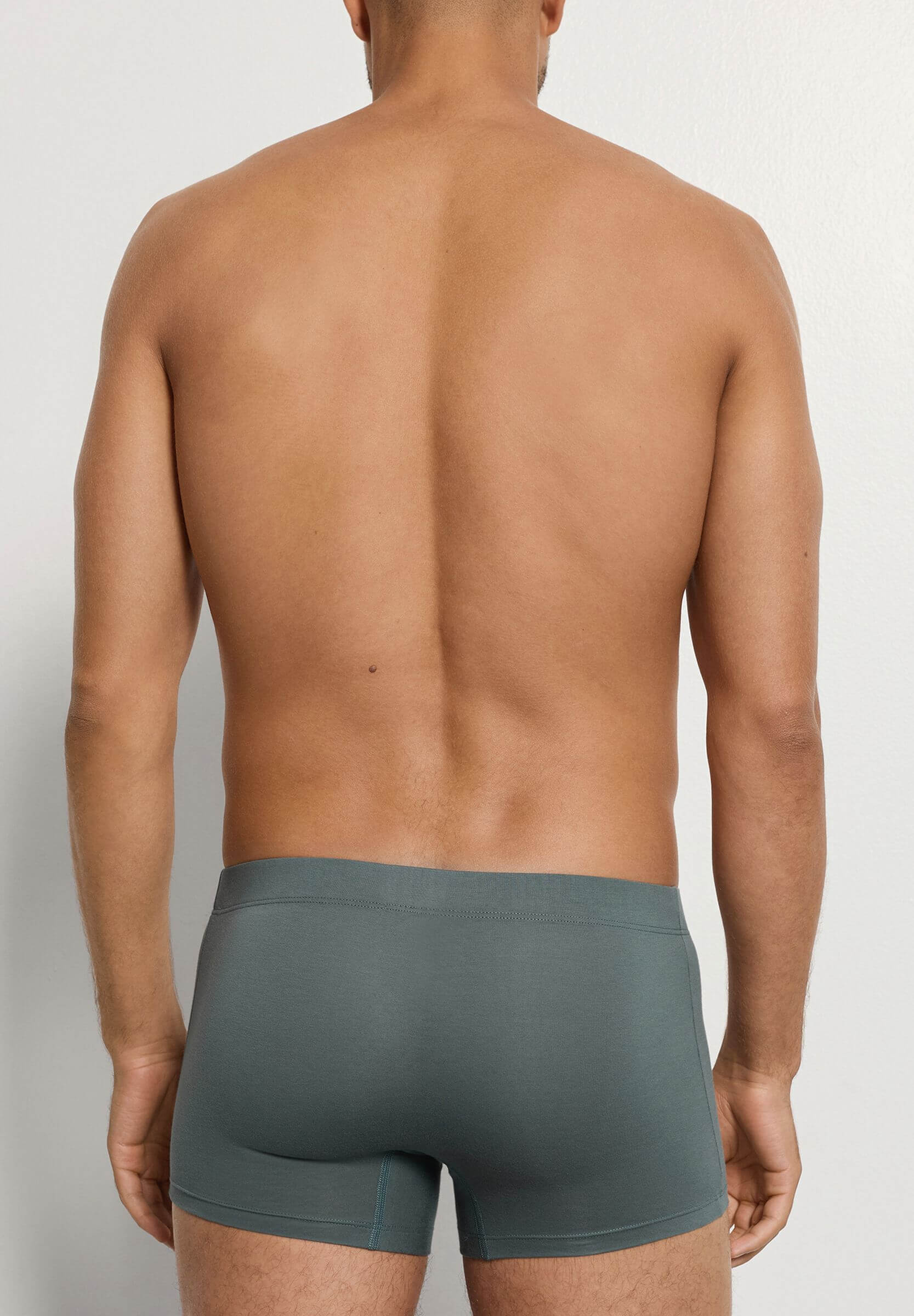 Комплект боксеров-брифов из мерсеризованного хлопка. Цвет Набор цветов (073117)