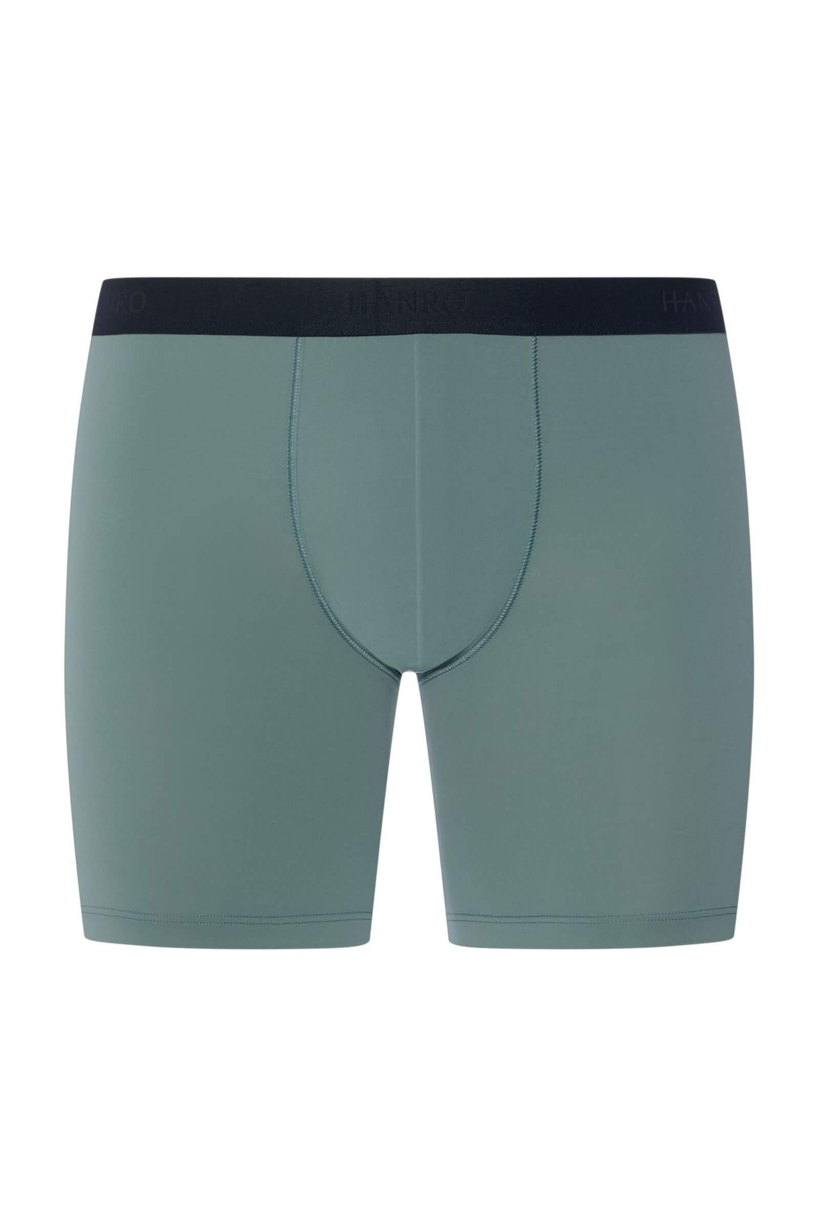 Трусы боксеры-брифы из быстросохнущей микрофибры. Цвет Зеленый (072739)