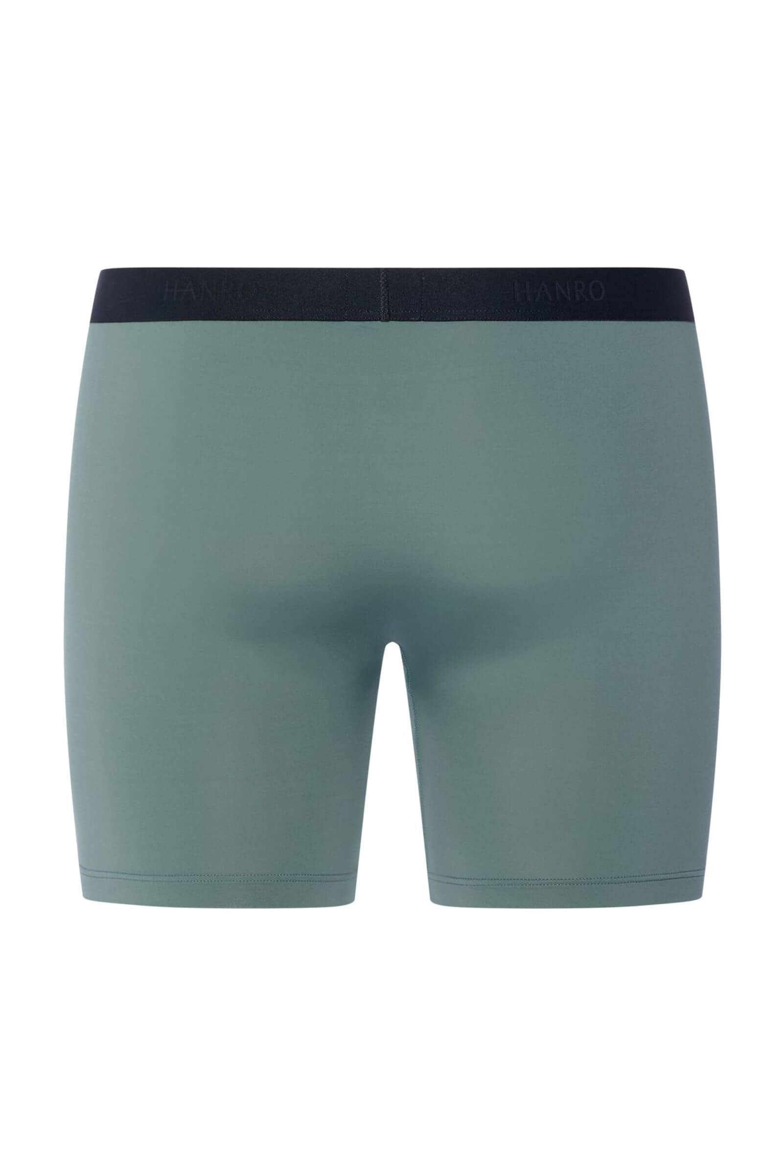 Трусы боксеры-брифы из быстросохнущей микрофибры. Цвет Зеленый (072739)