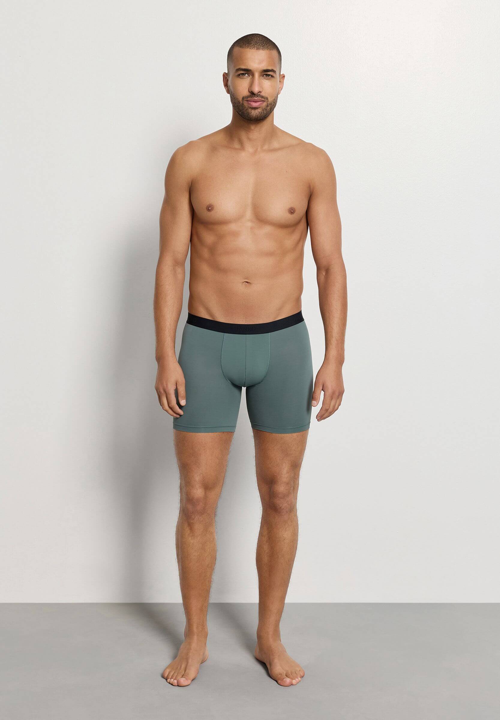 Трусы боксеры-брифы из быстросохнущей микрофибры. Цвет Зеленый (072739)